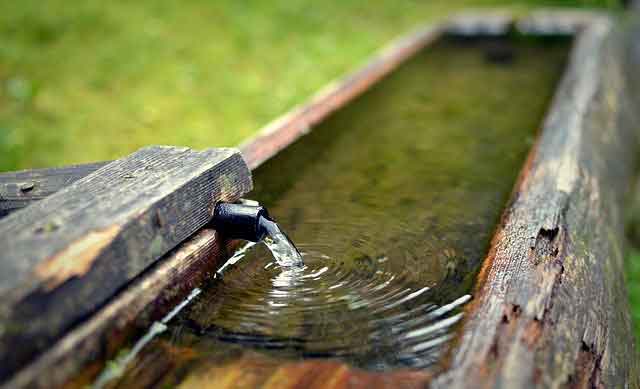 Zadbaj o zebranie wody głównie dzięki zbiornikom deszczowej wody